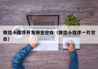 微信小程序開(kāi)發(fā)預(yù)覽空白（微信小程序一片空白）