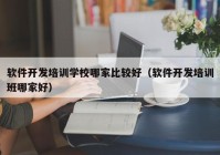 軟件開發(fā)培訓(xùn)學(xué)校哪家比較好（軟件開發(fā)培訓(xùn)班哪家好）