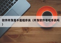 軟件開發(fā)是不是程序員（開發(fā)軟件是程序員嗎）