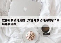 軟件開發(fā)公司資質(zhì)（軟件開發(fā)公司資質(zhì)除了高項(xiàng)還有哪些）