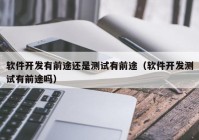 軟件開發(fā)有前途還是測試有前途（軟件開發(fā)測試有前途嗎）