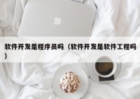 軟件開(kāi)發(fā)是程序員嗎（軟件開(kāi)發(fā)是軟件工程嗎）