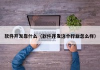 軟件開(kāi)發(fā)靠什么（軟件開(kāi)發(fā)這個(gè)行業(yè)怎么樣）
